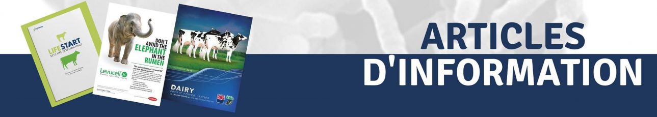 article d'info